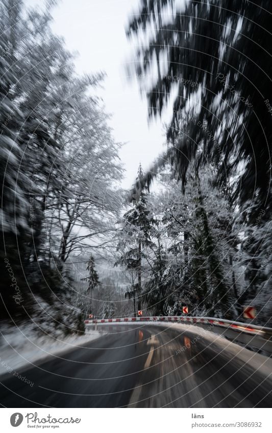 Kurvenlage l on the road again Umwelt Landschaft Winter Eis Frost Schnee Baum Wald Berge u. Gebirge Schwarzwald Verkehr Verkehrswege Autofahren Straße
