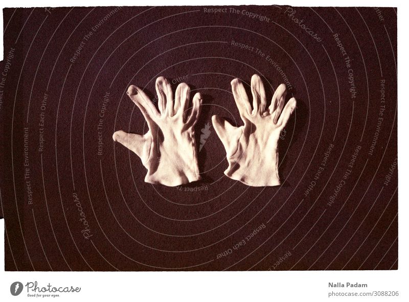 Zwei rechte Hände Kunst Handschuhe schwarz weiß Stoffhandschuhe Farbfoto Innenaufnahme Experiment Menschenleer Textfreiraum links Textfreiraum rechts