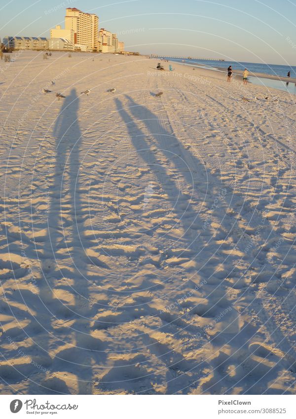 Schatten am Strand Lifestyle Freude Ferien & Urlaub & Reisen Tourismus Ferne Sommer Sommerurlaub Umwelt Natur Landschaft Sonnenaufgang Sonnenuntergang