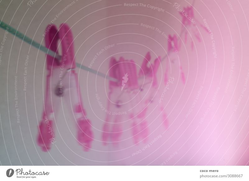 Wäscheklammern Kunststoff hängen außergewöhnlich rosa Fröhlichkeit Design Kreativität Häusliches Leben Farbfoto Außenaufnahme Experiment Menschenleer Tag