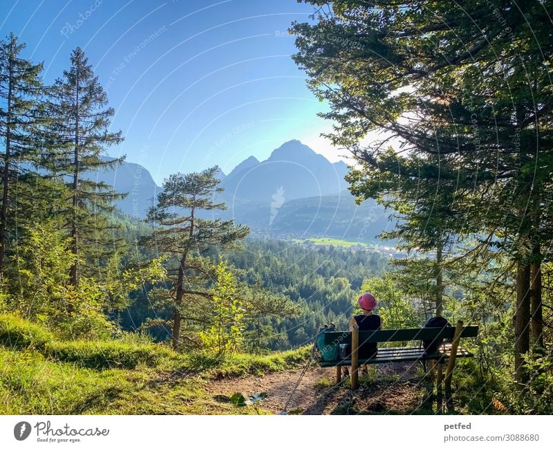Pause II Berge u. Gebirge wandern 1 Mensch Landschaft Himmel Sommer Baum Wald Alpen Gipfel Denken Erholung genießen Blick sitzen blau grün Zufriedenheit ruhig