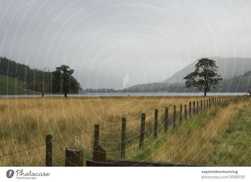 Lake District Landschaft Nebel Baum Feld Berge u. Gebirge See Frieden Natur ruhig Ferne Gedeckte Farben Außenaufnahme Menschenleer Tag Panorama (Aussicht)