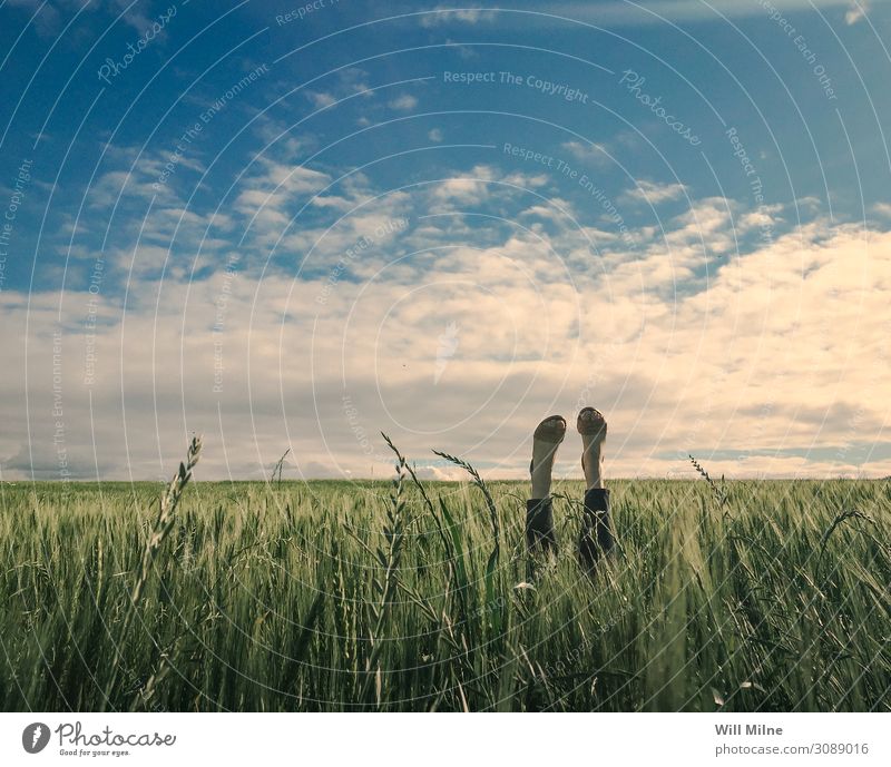 Frau im Feld mit Füßen in der Luft Fuß Beine Weizen Himmel grün blau liegen abwärts Boden