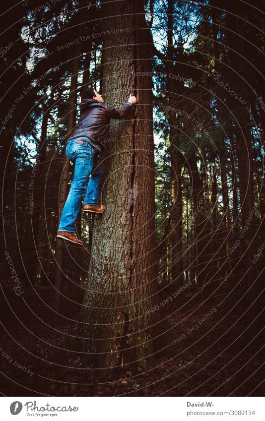 Mann klettert Baum hoch Klettern kletteraffe Kraft Willenskraft stärke Superman superkräft kreativ spiderman festhalten Blick nach oben Natur männlich