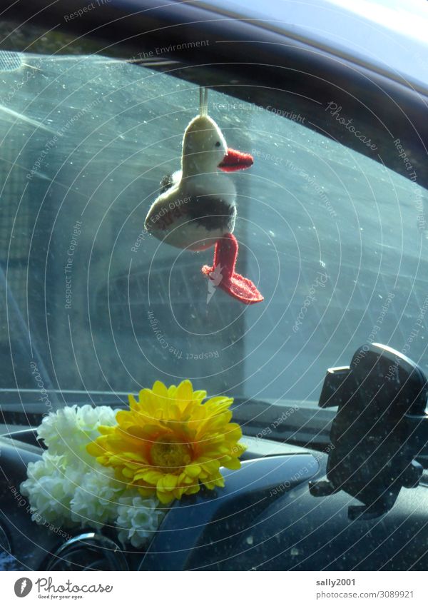 Mitfahrgelegenheit... Verkehr Personenverkehr Autofahren PKW hängen Glück Identität Schutz Entenvögel Stofftiere Glücksbringer Blume künstlich Navigation