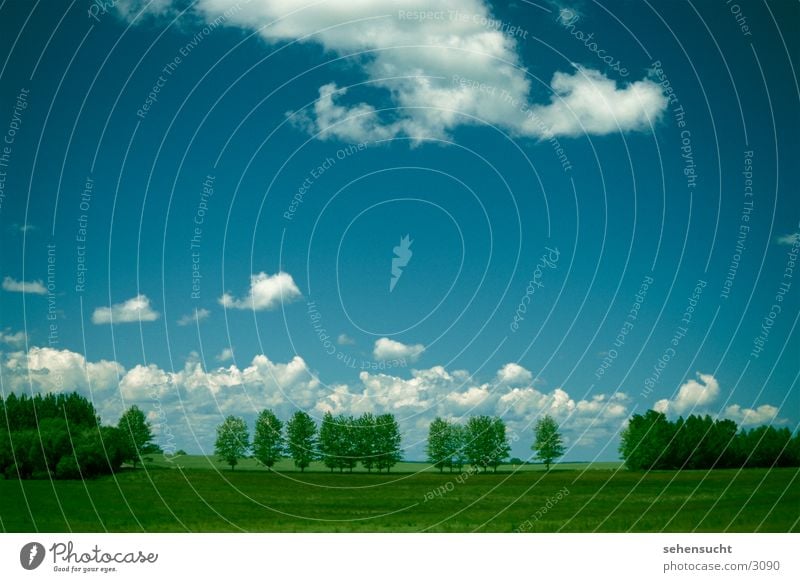 horizont02 Baum Wolken grün Wiese Mecklenburg-Vorpommern himme Erde blau Landschaft