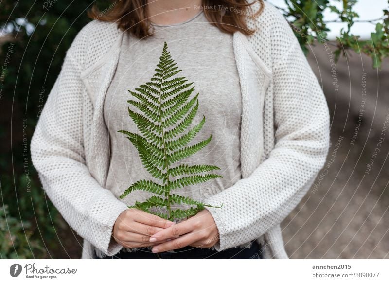 Farn Natur Pflanze festhalten Hand Wald grün Frau Sommer Herbst Außenaufnahme schützen