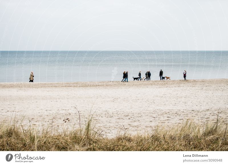 Timmendorferstrand #4 hunde gruppe menschen natur ausflug wasser meer aussicht ausblick Timmendorfer Strand Norddeutschland treffen spazieren Küste Wasser Meer