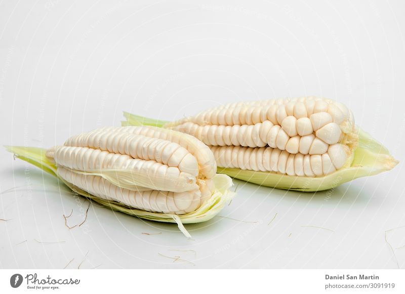 Schoko, riesiger weißer Mais. Auf weißem Hintergrund Gemüse Ernährung Diät Leben Blatt frisch gelb gold grün Lebensmittel Zutaten ganz Korn Gesundheit Kerne