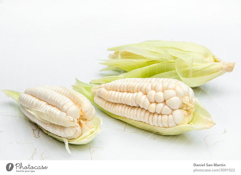 Schoko, riesiger weißer Mais. Auf weißem Hintergrund Gemüse Ernährung Diät Leben Blatt frisch gelb gold grün Lebensmittel Zutaten ganz Korn Gesundheit Kerne