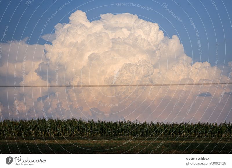 Das Wölkchen Umwelt Natur Landschaft Pflanze Himmel Wolken Gewitterwolken Sommer Herbst Klima Wetter Feld außergewöhnlich gigantisch groß blau grün weiß