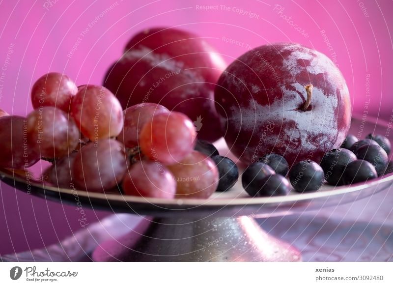 silberne Obstschale mit Weitrauben, Blaubeeren und Pflaumen in Violett Frucht Weintrauben Bioprodukte Vegetarische Ernährung Diät Schalen & Schüsseln