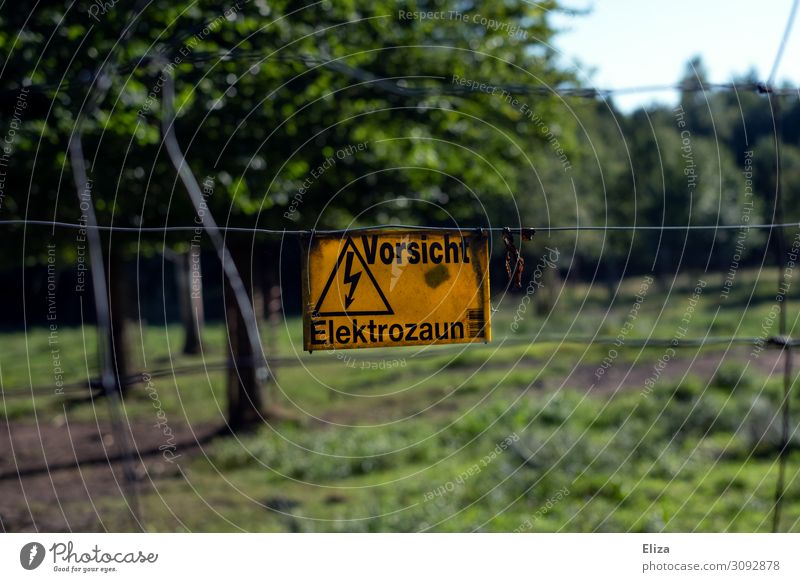 Vorsicht Elektrozaun Zeichen Schriftzeichen Hinweisschild Warnschild bedrohlich Sicherheit Warnung gelb Elektrizität Wildpark Wildtier Natur Baum Zaun