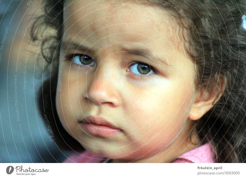 Was denkst du gerade? | Mädchen schaut fragend/ skeptisch in die Kamera feminin Kind Kleinkind Kopf Gesicht 1 Mensch 3-8 Jahre Kindheit brünett schön natürlich