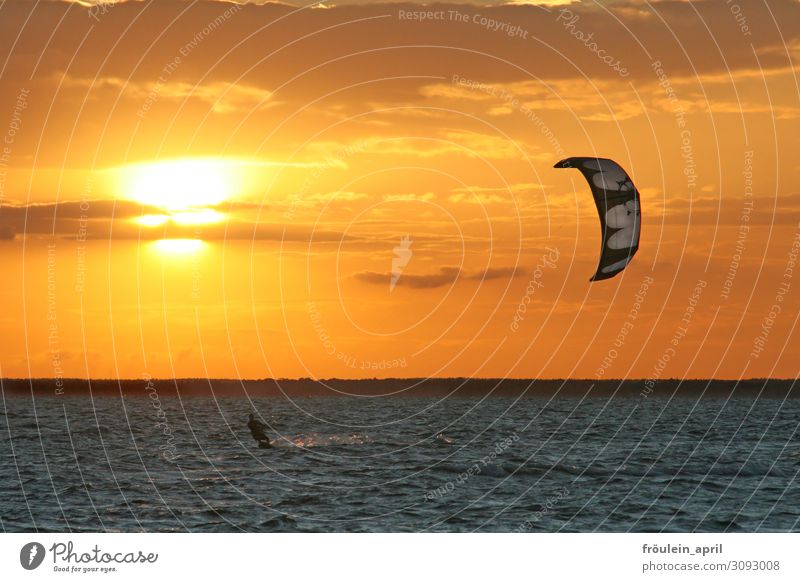 Sonnenenergie Freude Freiheit Sommer Sommerurlaub Meer Wellen Sport Kiting Kiter Surfen 1 Mensch Sonnenaufgang Sonnenuntergang Sonnenlicht Schönes Wetter Küste