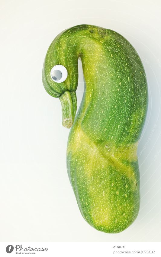 Zucchinischwan Ernährung Zucchetti Gemüse Bioprodukte ökologisch Zeichen Schwan Kullerauge außergewöhnlich einzigartig grün Freude Überraschung Design entdecken