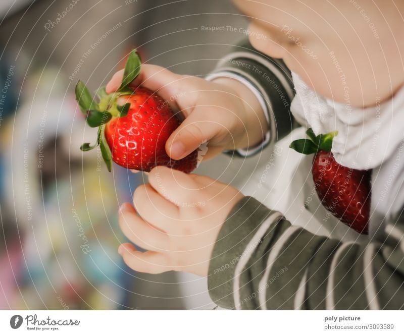 Baby hällt rote Erdbeere in der Hand hoch Lifestyle Freizeit & Hobby Ferien & Urlaub & Reisen Sommer Kind Familie & Verwandtschaft Kindheit Leben Finger