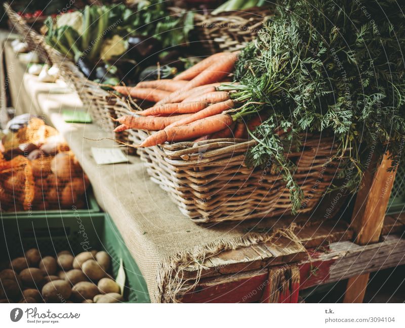 Frische Karotten Lebensmittel Gemüse Frucht Möhre Kartoffeln Ernährung kaufen Gesundheit Gesunde Ernährung Sommer Natur Herbst Klimawandel frisch braun grün