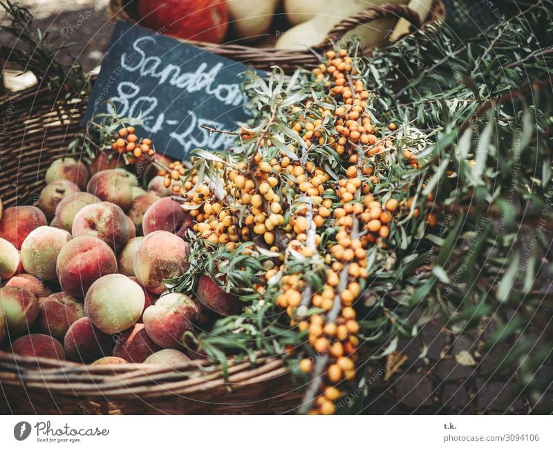 Sanddorn Lebensmittel Gemüse Frucht Ernährung Bioprodukte Vegetarische Ernährung kaufen Gesundheit Gesunde Ernährung Sommer Herbst Natur Pfirsich gelb grün