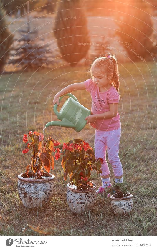Kleines Mädchen, das hilft, die Blumen zu gießen. Topf Lifestyle Sommer Sommerurlaub Garten Kind Arbeit & Erwerbstätigkeit Gartenarbeit Mensch 1 3-8 Jahre
