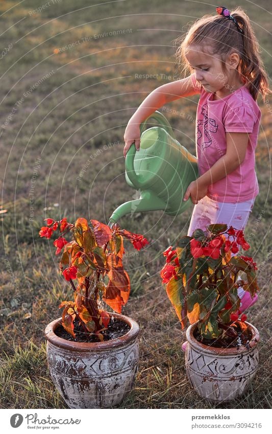 Kleines Mädchen, das hilft, die Blumen zu gießen. Topf Lifestyle Sommer Sommerurlaub Garten Kind Arbeit & Erwerbstätigkeit Gartenarbeit Mensch 1 3-8 Jahre