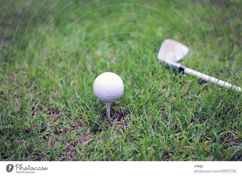 Golfball auf Tee Golfschläger Abschlag Golfplatz Wiese nah grün weiß Farbfoto Gedeckte Farben Außenaufnahme Nahaufnahme Menschenleer Tag Licht Kontrast