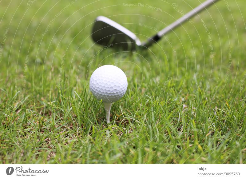 Abschlag Sport Golf Golfball Golfschläger Golfplatz Wiese nah grün weiß Farbfoto Gedeckte Farben Außenaufnahme Nahaufnahme Menschenleer Textfreiraum links