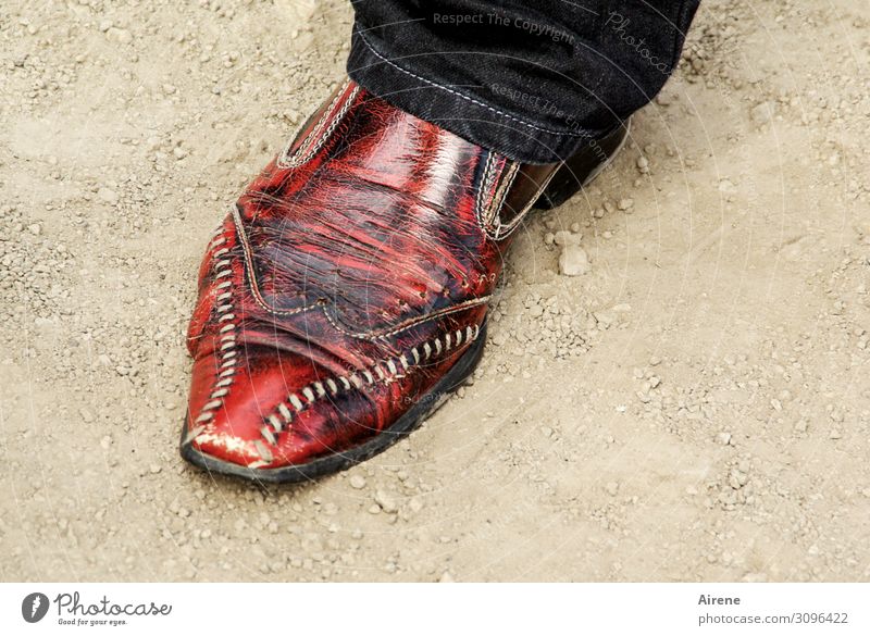 angepasst Fuß Schuhe Stiefel Dekoration & Verzierung Leder Ornament Linie Naht gehen laufen wandern alt retro Spitze rot eitel Design einzigartig Nostalgie