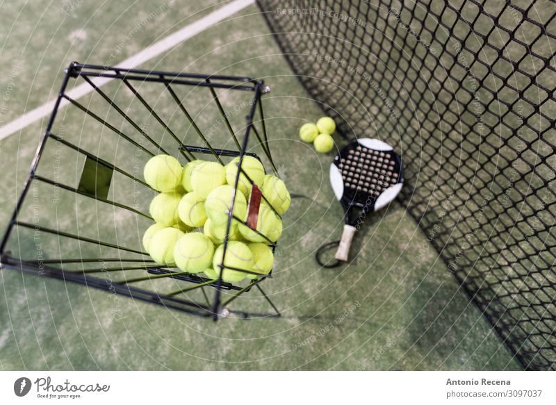 paddeln tennis training kit bild Erholung Sport Ball Menschengruppe Gras Paddeltennis Padel yrnnis Remmidemmi Netz Gerichtsgebäude Rasen künstlich