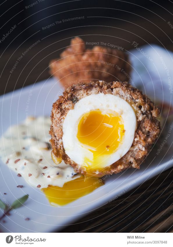 Scotch-Ei mit laufendem Eigelb Schotten Lebensmittel Speise Foodfotografie flüssig braten Wurstwaren Vorspeise Amuse-Gueule Mahlzeit