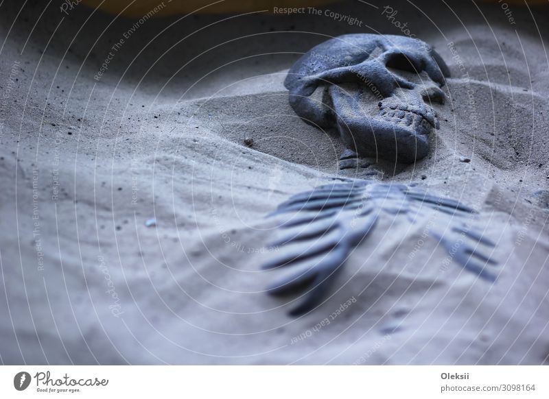 Ausgegrabenes Skelett im Sand Angst Ende Frieden Kultur Farbfoto Innenaufnahme Textfreiraum links Nacht Starke Tiefenschärfe Porträt