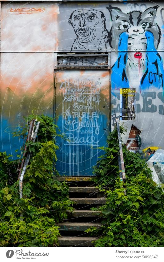 Graffiti Tür Berlin Design Ferien & Urlaub & Reisen Tourismus Städtereise Kunst Kunstwerk Gemälde Grafik u. Illustration Wandmalereien Schönschrift Pflanze Baum