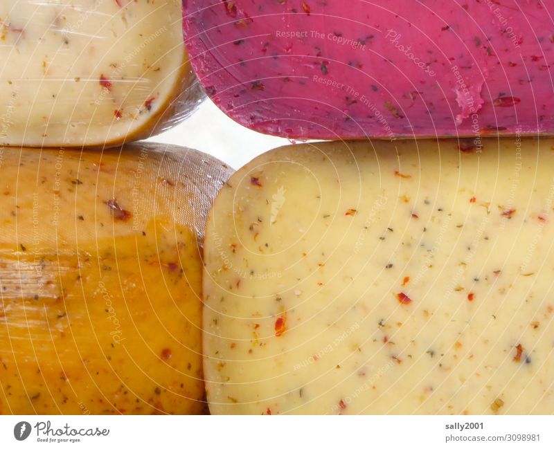 Alles Käse... Lebensmittel Ernährung fest mehrfarbig genießen Verschiedenheit Marktstand Markttag Käsemarkt Käselaib Kräuter & Gewürze reif lecker Farbfoto