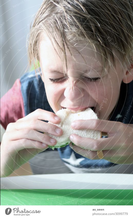 Guten Appetit Brot Toastbrot Salat Ernährung Essen Frühstück Büffet Brunch Picknick Vegetarische Ernährung Kindererziehung Junge Kindheit Leben 1 Mensch