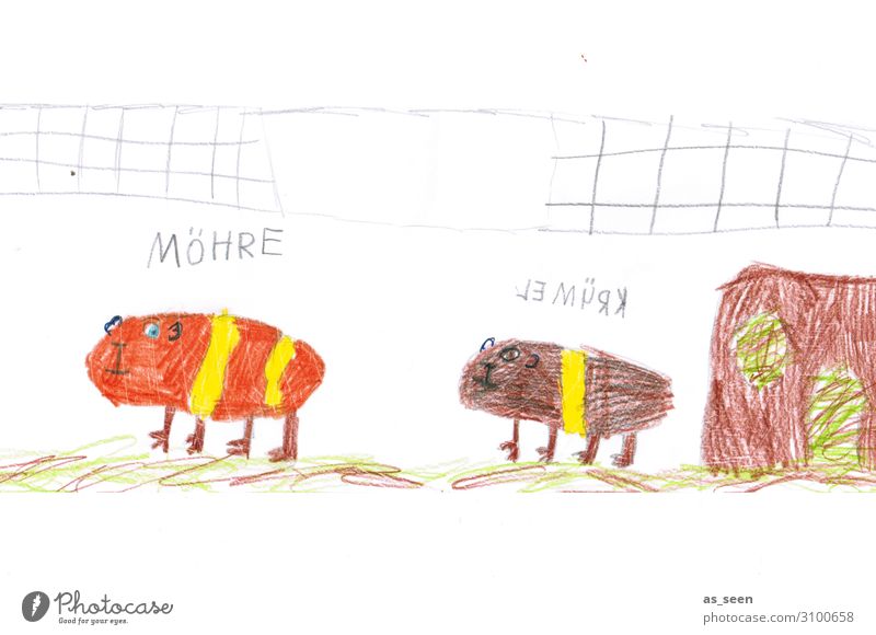 Möhre und Krümel Kindheit Kunst Zeichnung Grafik u. Illustration Kinderzeichnung Haustier Tiergesicht Fell Pfote Zoo Meerschweinchen Nagetiere 2 Käfig hocken