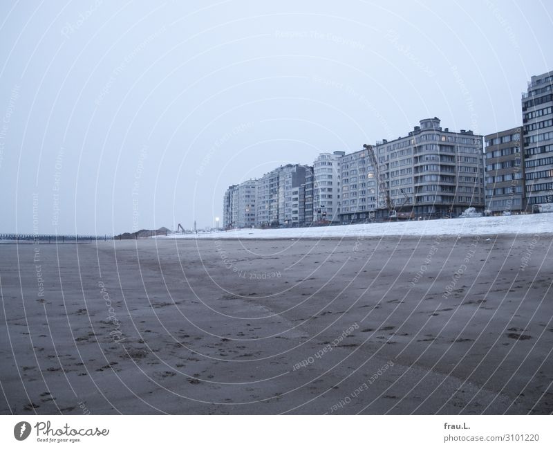Verlangen nach Meer Ferien & Urlaub & Reisen Tourismus Ausflug Städtereise Strand Winter Küste Nordsee maritim modern blau grau Traurigkeit Oostende Belgien