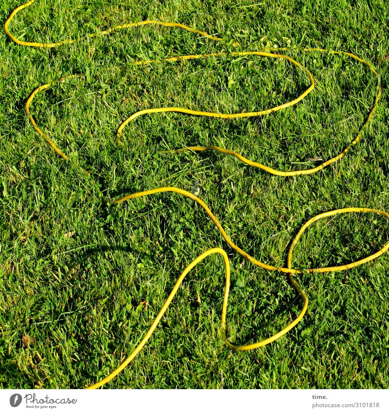 Seilschaften #25 Technik & Technologie Energiewirtschaft Kabel Schönes Wetter Garten Wiese Schlangenlinie Linie liegen Originalität Freude Fröhlichkeit Leben