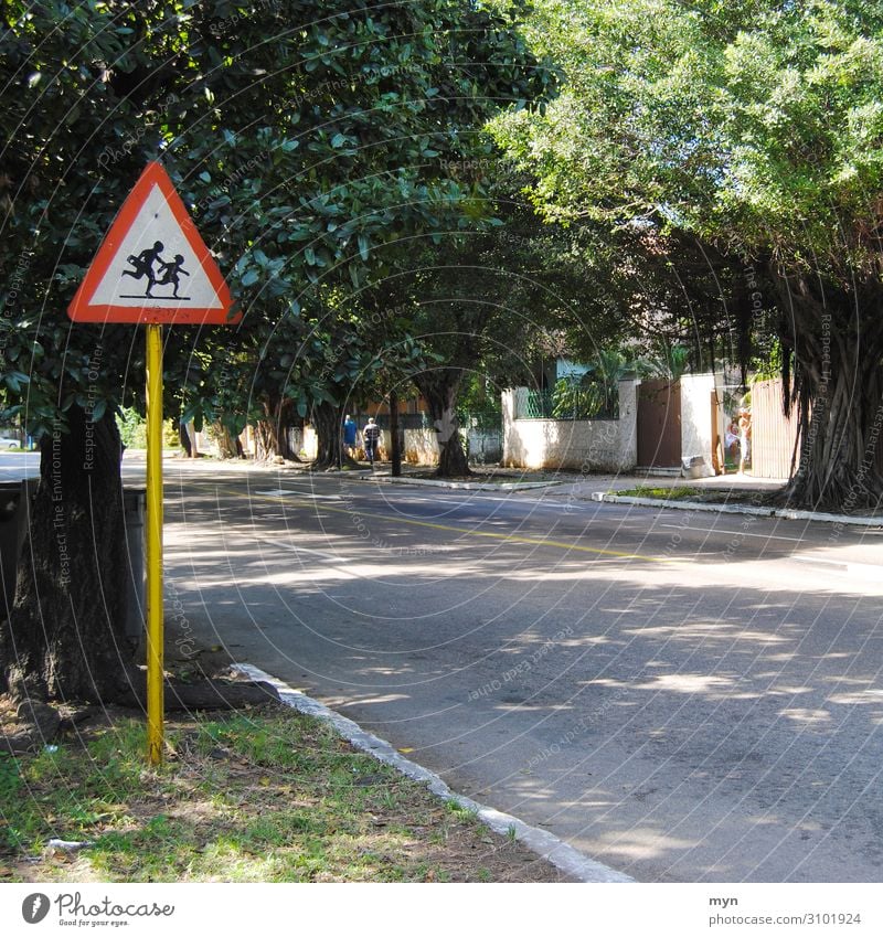Straße Allee mit Bäumen und Straßenschild Schulkinder Schilder & Markierungen Hinweisschild Schule Kinder Achtung Vorsicht Menschenleer Warnschild Warnhinweis