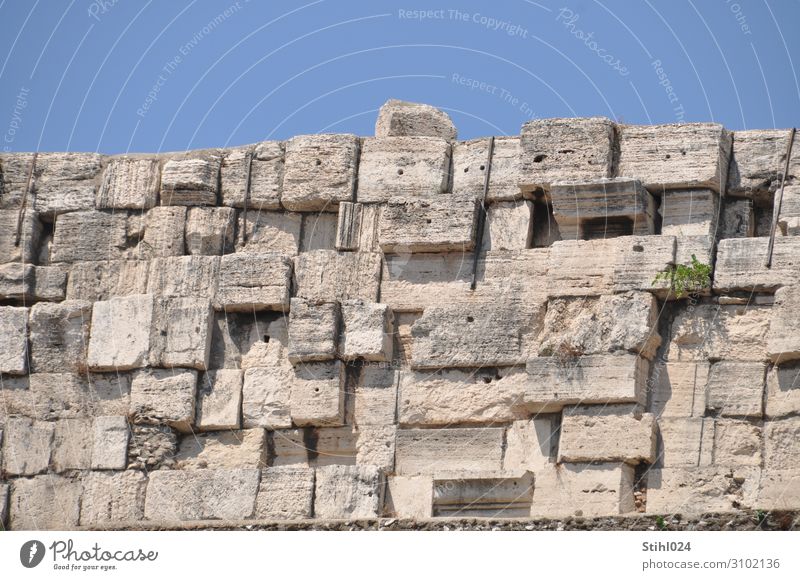 Mauer aus großen, groben Sandsteinquadern Rom Ruine Bauwerk Wand Steinmauer Steinquader Kolosseum eckig historisch Schutz Horizont Nostalgie Qualität zeitlos