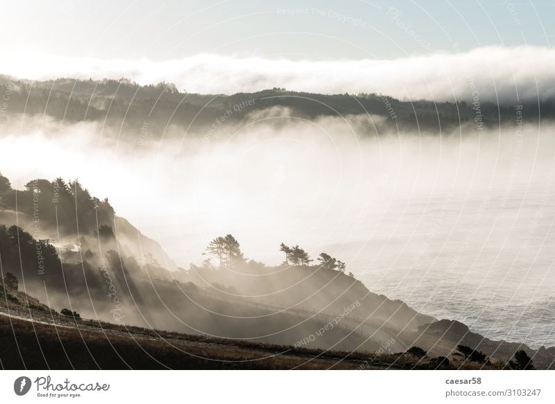 Malerische Küstenlinie am frühen Morgen, Yaquina Head in Oregon, USA Sonnenaufgang Cloud Ufer Bäume Wolken Silhouette pazifik Licht natürlich MEER Westküste