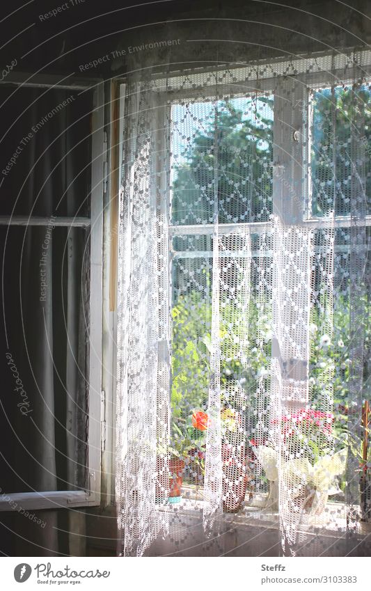 wertvoll | bei Omi Fenster Fensterblick Fenstergardinen häusliches Leben Seniorenwohnung Bescheidenheit bescheiden altmodisch retro Altbau Blickschutz Gardine