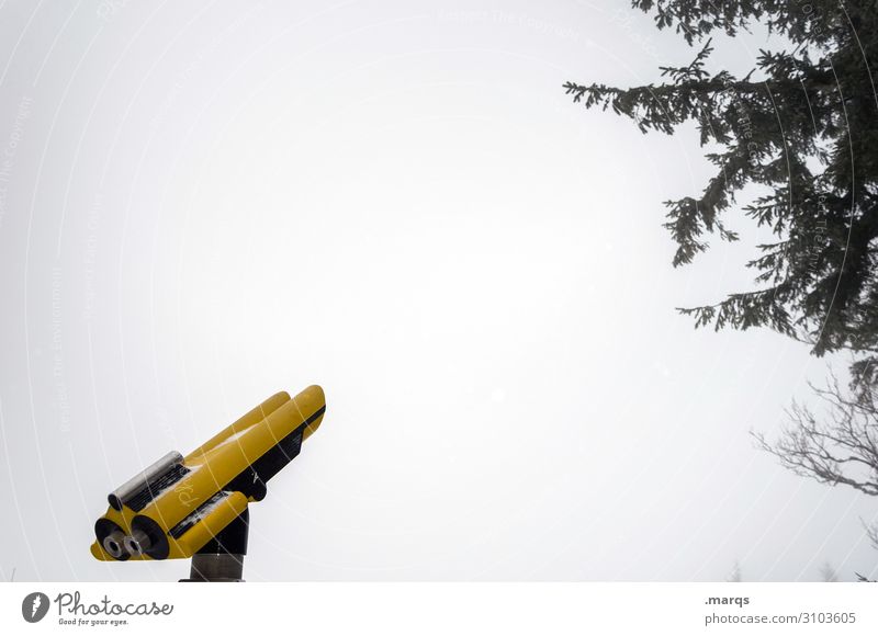 Kurzsichtig Nebel Ast Teleskop Aussicht Sehvermögen gelb Beratung kalt Perspektive Zukunft Orientierung Tourismus Farbfoto Außenaufnahme Textfreiraum oben