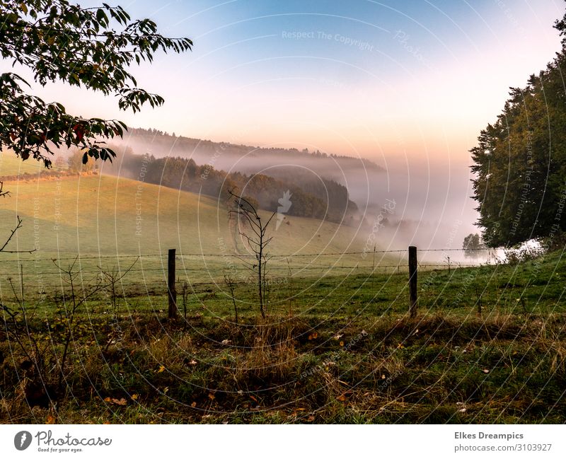 ein Herbstmorgen in der Eifel mit Morgennebel Natur Landschaft Himmel Sonnenaufgang Sonnenuntergang Schönes Wetter Nebel Erholung Farbfoto mehrfarbig