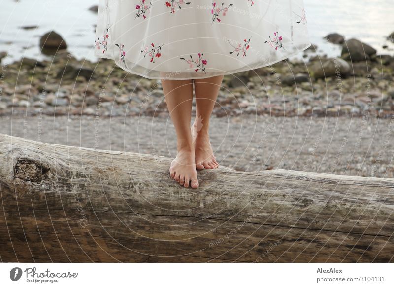 Frau im Kleid auf einem Baumstamm am Strand elegant Stil schön Leben Sinnesorgane Meer Junge Frau Jugendliche Beine Fuß 18-30 Jahre Erwachsene Schönes Wetter