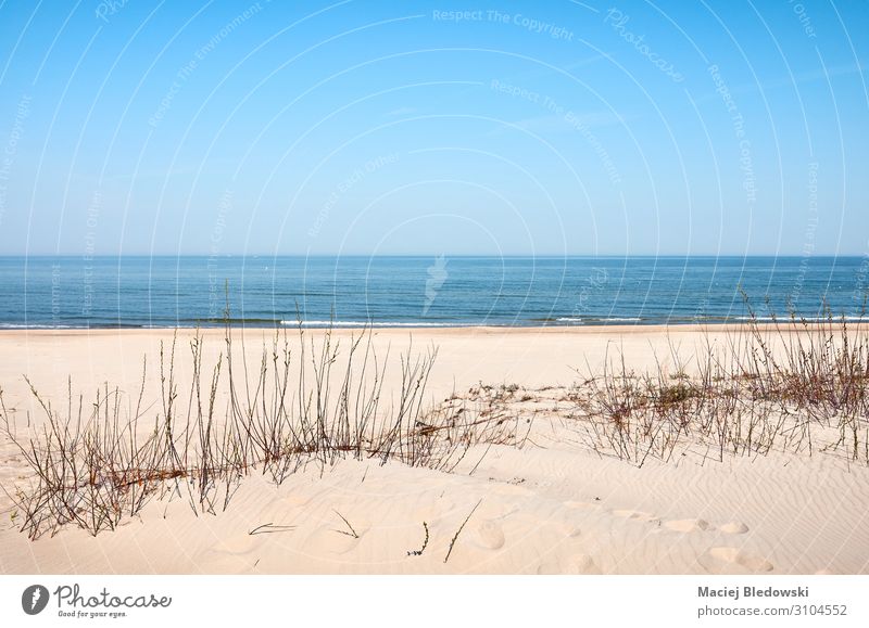 Foto einer Sanddüne an der Meeresküste an einem sonnigen Tag Ferien & Urlaub & Reisen Ferne Freiheit Camping Fahrradtour Sommer Strand Insel Natur Landschaft