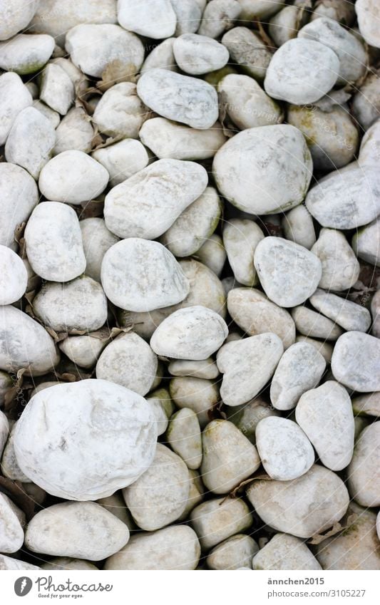 Steine... weiß Meer Strand Schwimmbad Natur finden Sammlung ansammeln Hintergrundbild Außenaufnahme