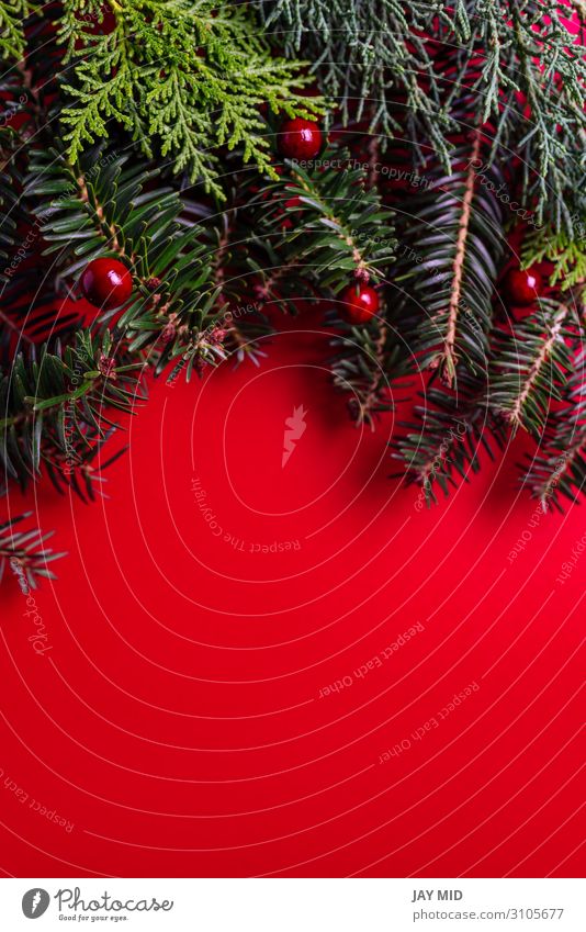 Kreatives Layout aus Weihnachtsbaumästen roter Hintergrund Stil Design Glück Winter Dekoration & Verzierung Tisch Feste & Feiern Erntedankfest