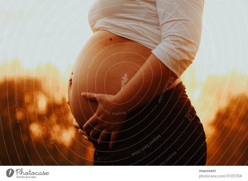 Babybauchfotos schwanger pregnant belly Sonnenuntergang Hand Frau feminin Natur natürlich Bauch Kinderwunsch