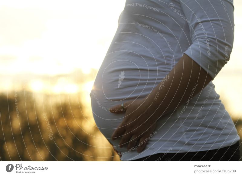 Schwangerschaft schwanger Babybauch pregnant belly Sonnenuntergang Hand Frau feminin natürlich Bauch Kinderwunsch