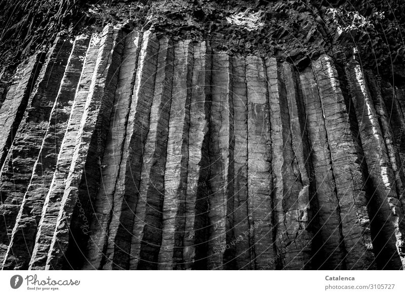 Hohe Basaltsäulen einer Höhle Stein authentisch außergewöhnlich fest lang grau schwarz weiß ruhig zeitlos Ewigkeit Natur Schwarzweißfoto Außenaufnahme